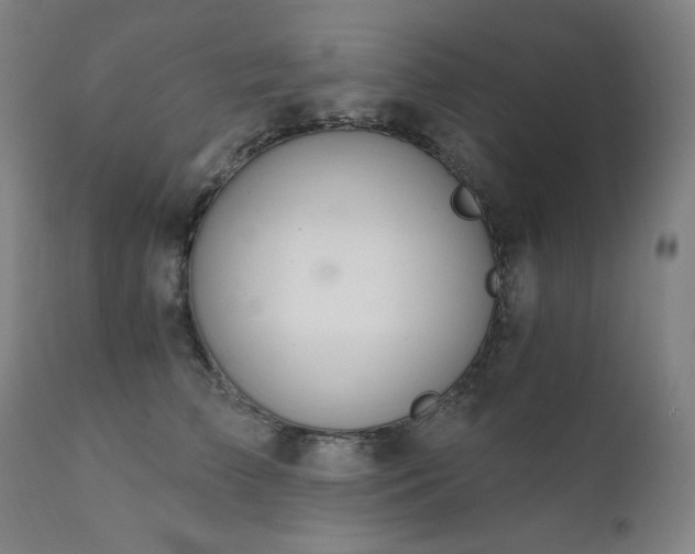 X0000111800709200907231210
