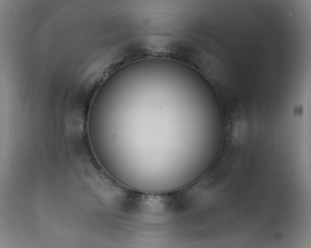 X0000111800710200907231210