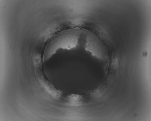 X0000111800711200907231210