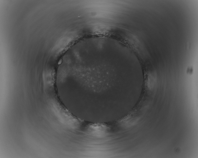 X0000111800712200907231210