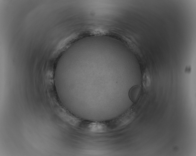 X0000111800714200907231210