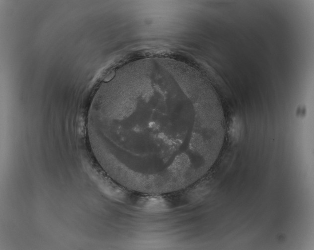 X0000111800715200907231210