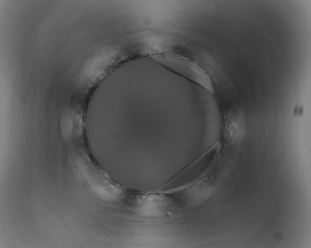 X0000111800716200907231210