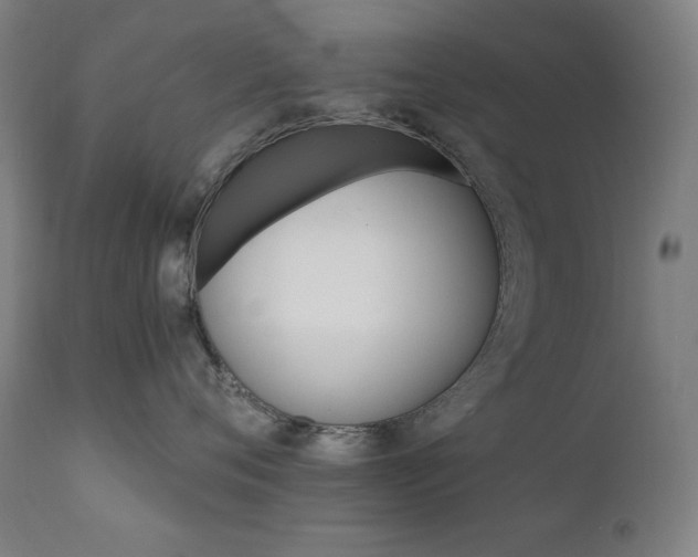 X0000111800720200907231210