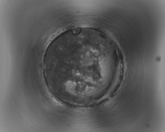 X0000111800721200907231209