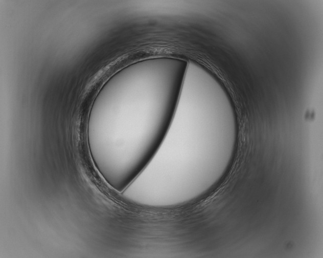 X0000111800722200907231209