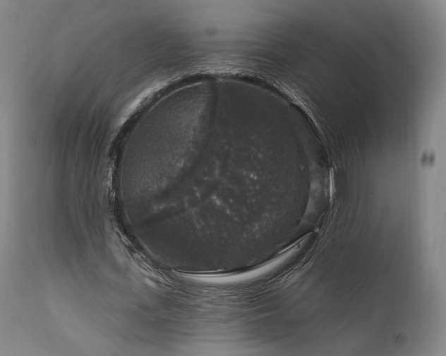 X0000111800723200907231209