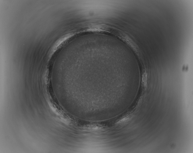 X0000111800724200907231209