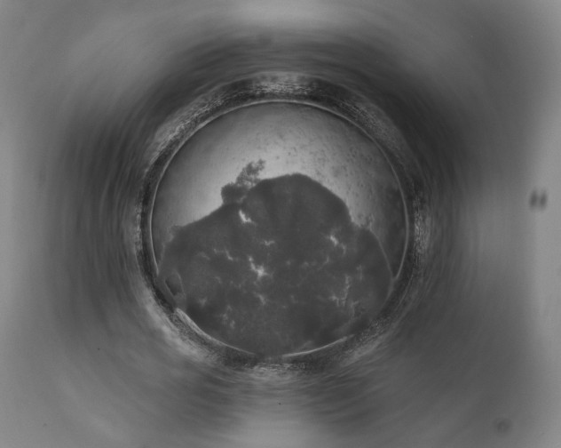 X0000111800725200907231209