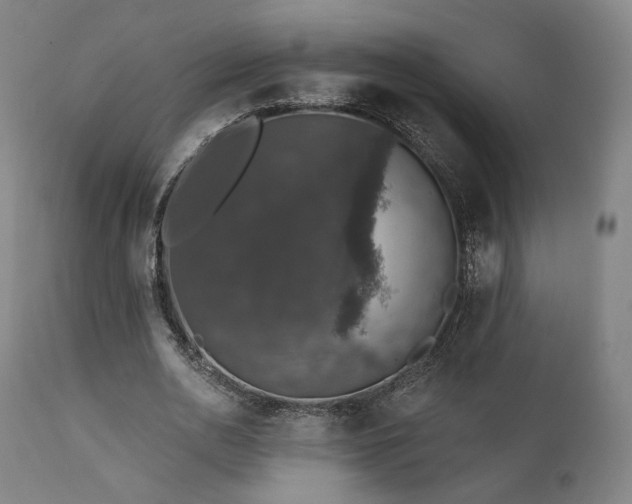 X0000111800726200907231209