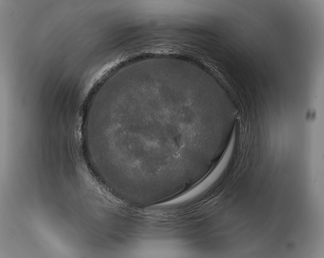 X0000111800727200907231209