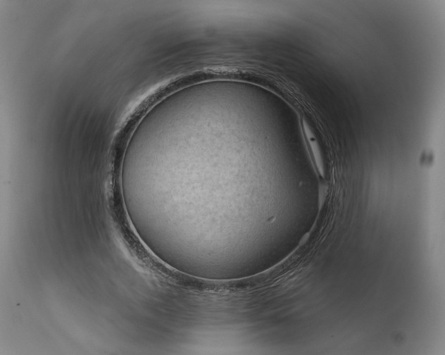 X0000111800728200907231209