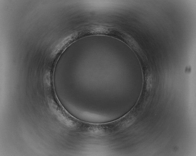 X0000111800729200907231209