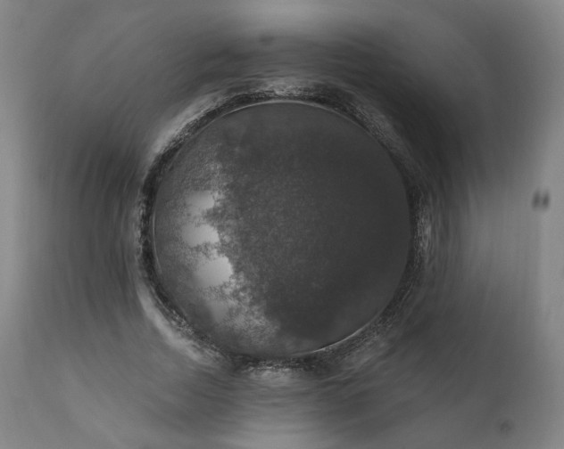 X0000111800730200907231209