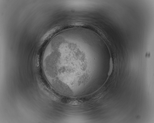 X0000111800731200907231209