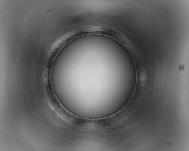 X0000111800732200907231209
