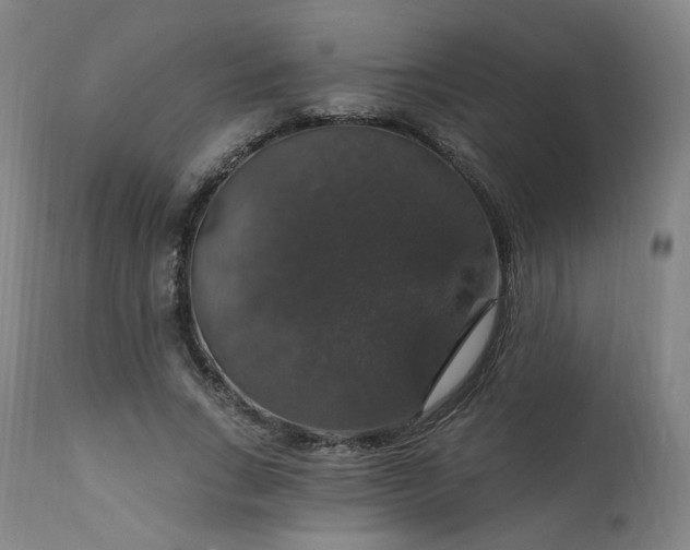 X0000111800735200907231209
