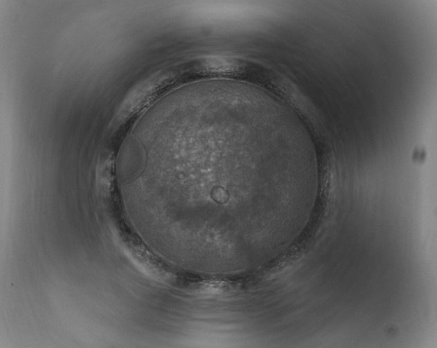 X0000111800736200907231209