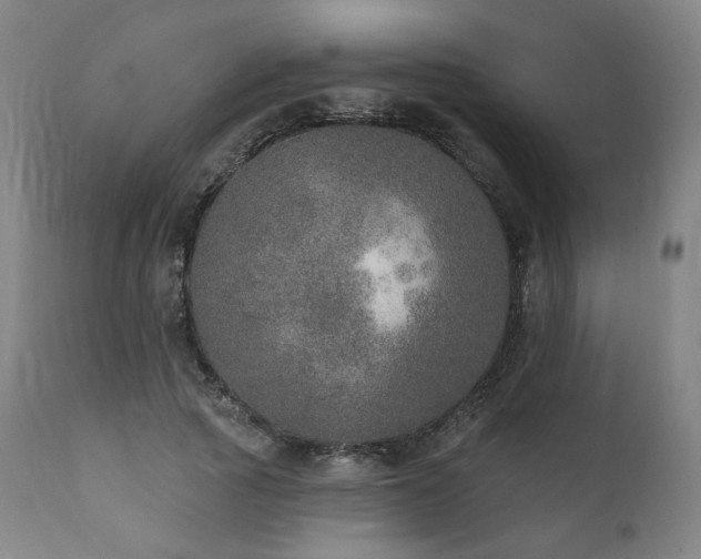 X0000111800737200907231209