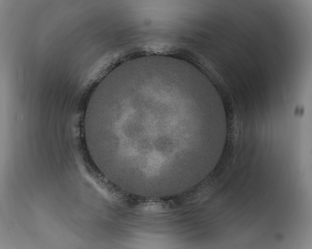 X0000111800738200907231209