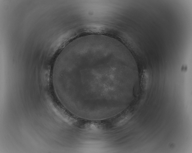 X0000111800739200907231209