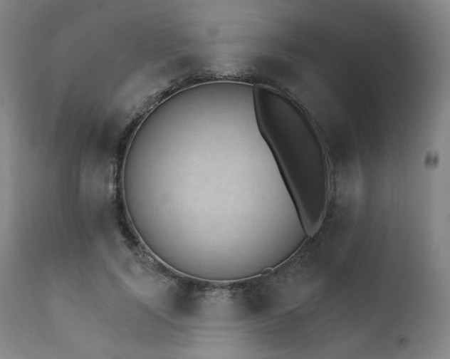 X0000111800740200907231209