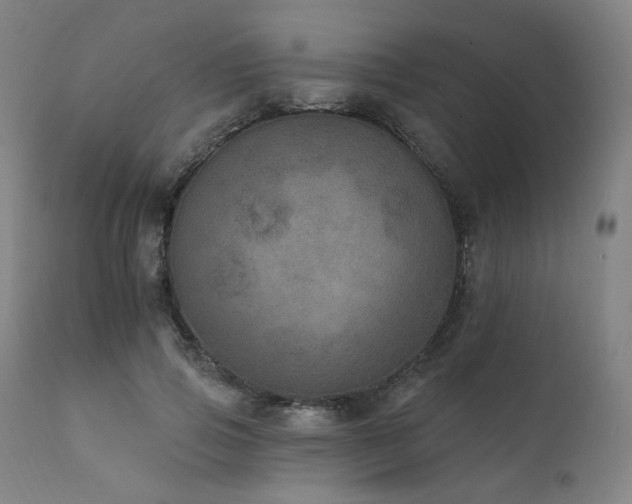 X0000111800741200907231209