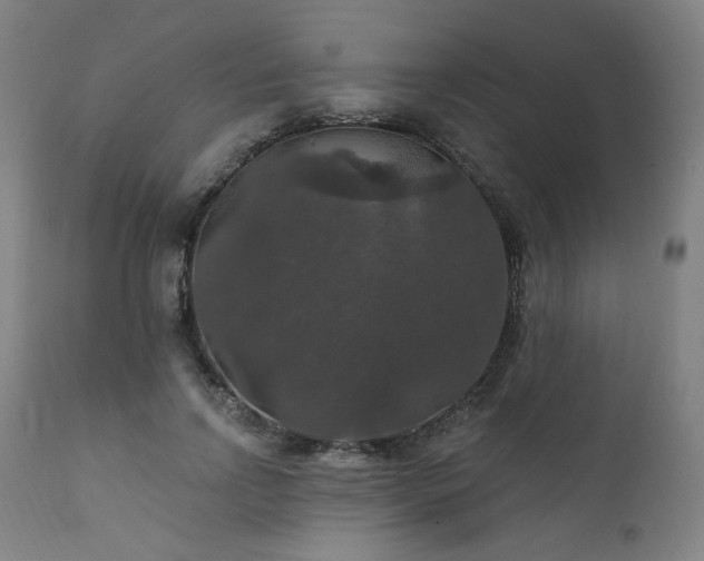 X0000111800742200907231209