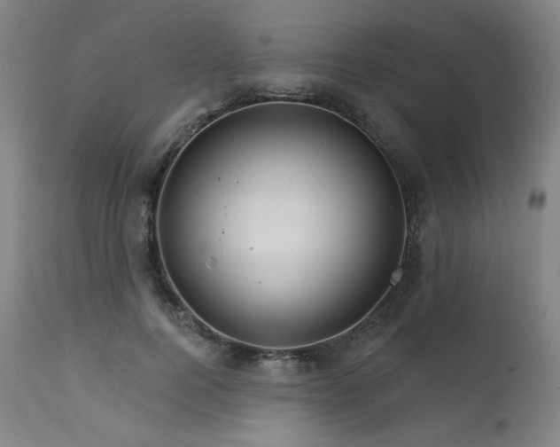 X0000111800744200907231209