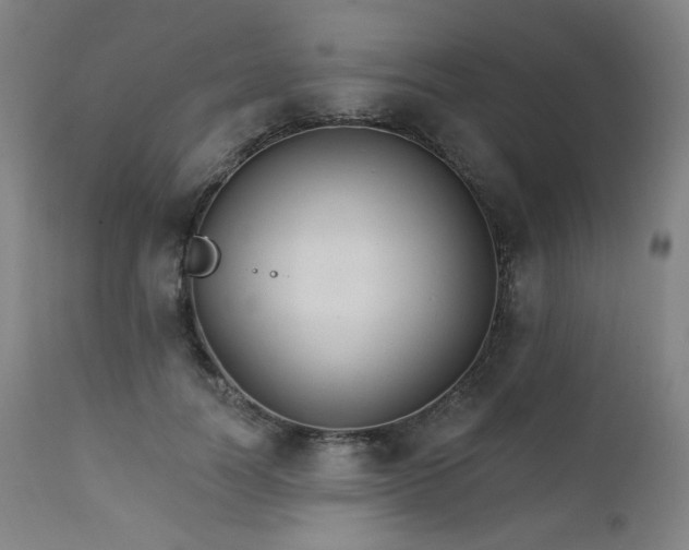 X0000111800746200907231209