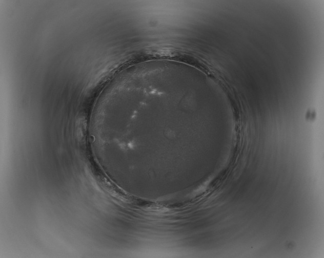 X0000111800747200907231209