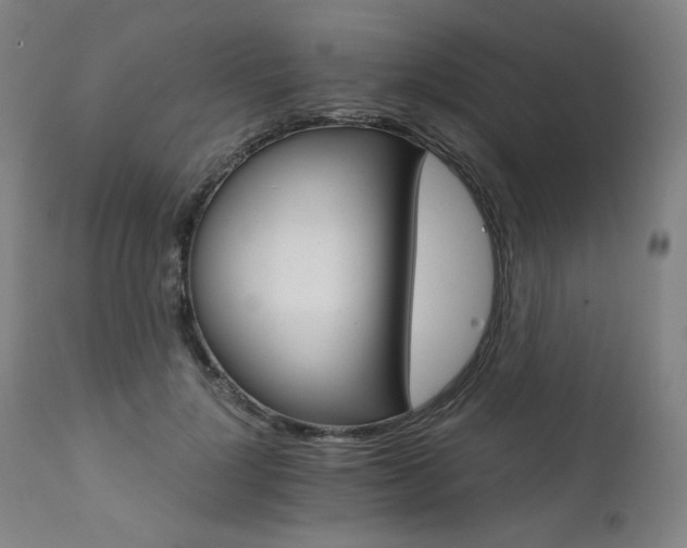 X0000111800748200907231209