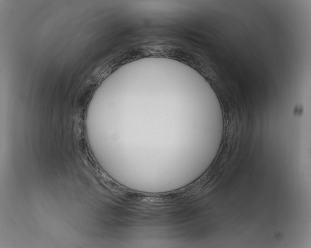 X0000111800749200907231209