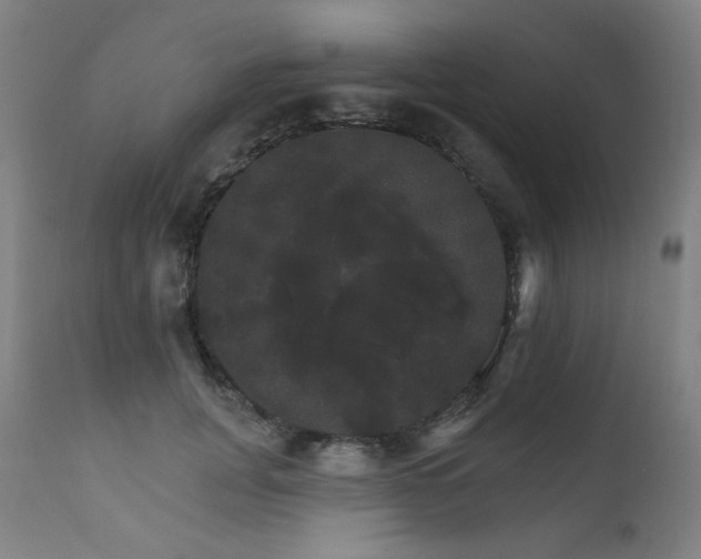 X0000111800751200907231209