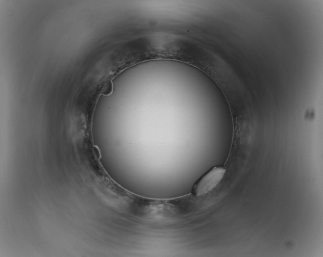 X0000111800752200907231209