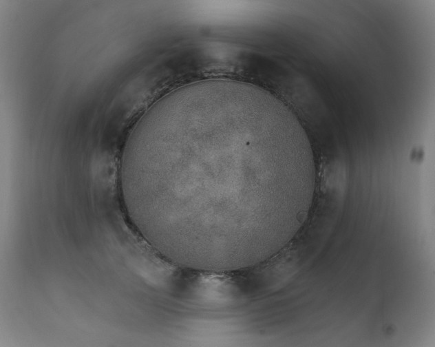 X0000111800753200907231209