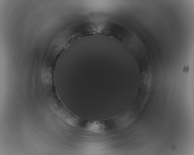 X0000111800754200907231209