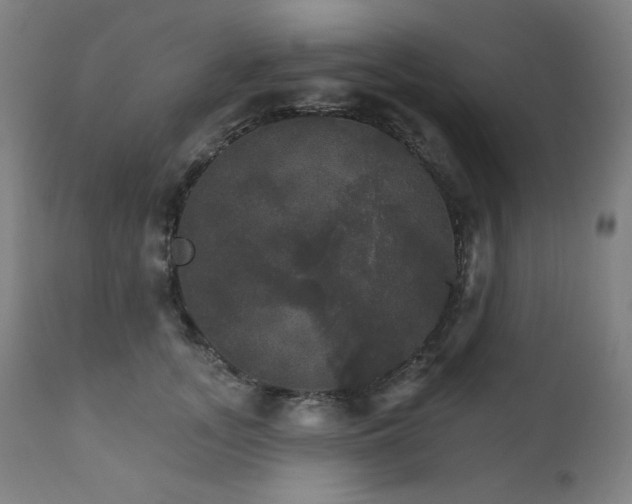 X0000111800755200907231209