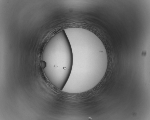 X0000111800756200907231209