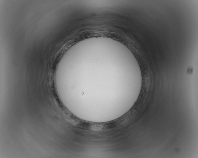 X0000111800757200907231209