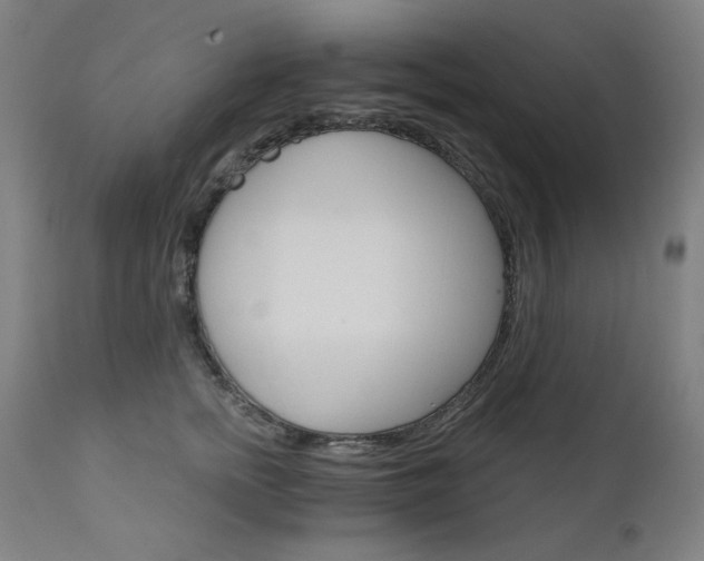 X0000111800758200907231209