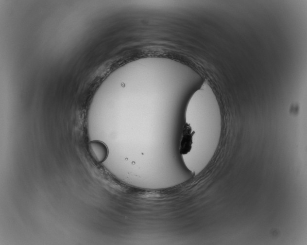 X0000111800759200907231209