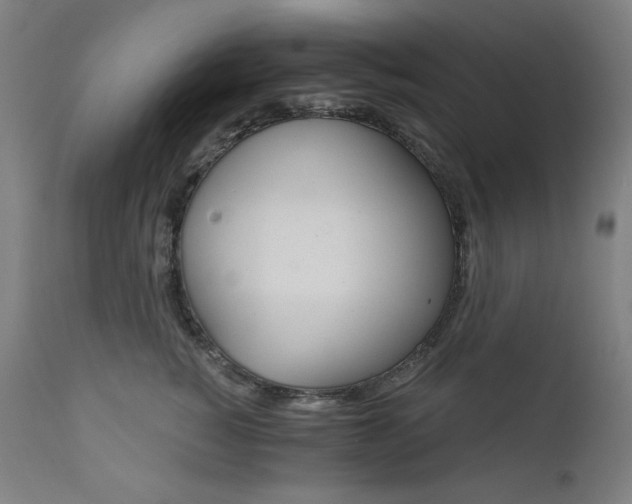 X0000111800760200907231209