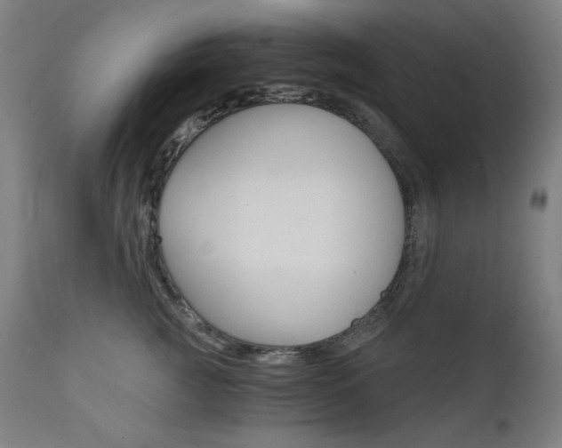 X0000111800761200907231209
