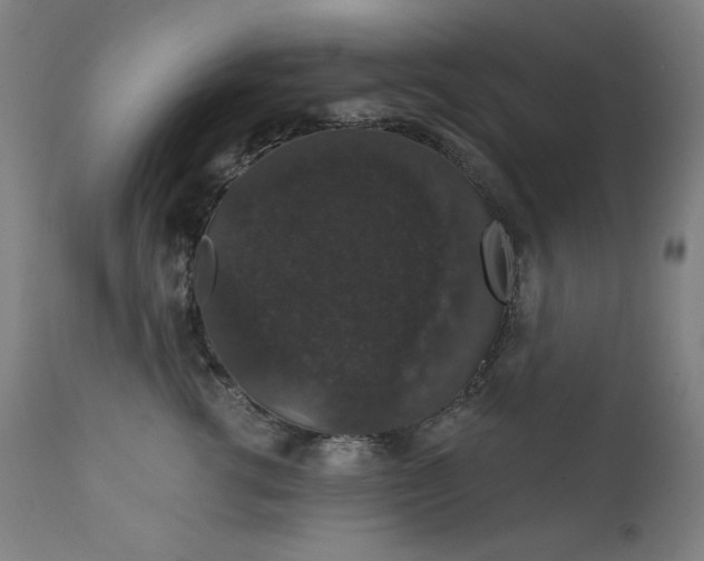 X0000111800762200907231210