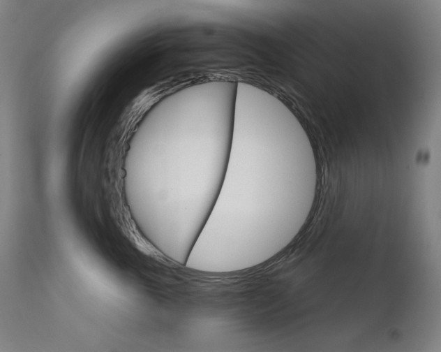 X0000111800763200907231210