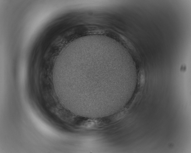 X0000111800764200907231210
