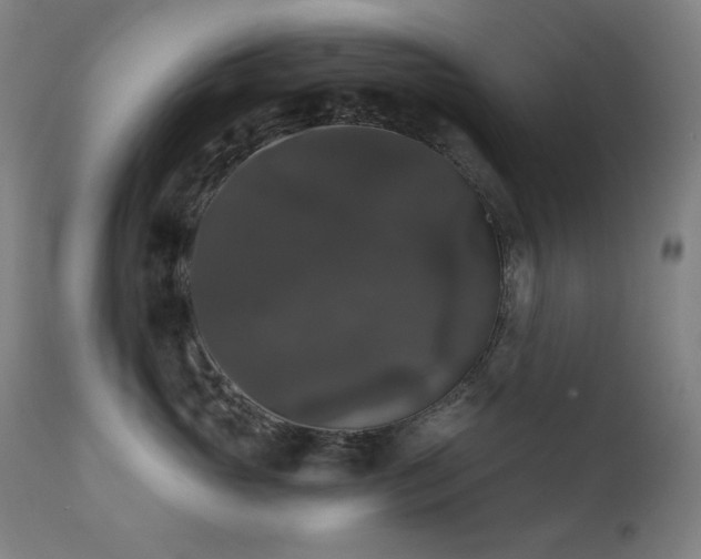 X0000111800765200907231210