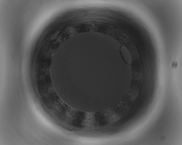 X0000111800766200907231210