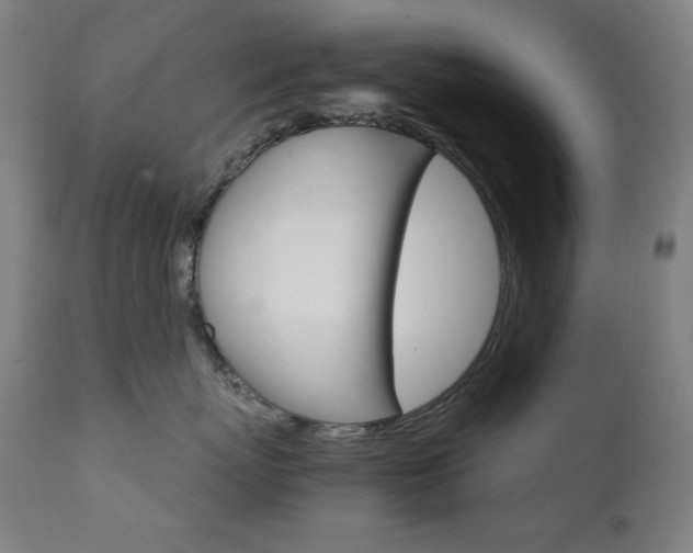 X0000111800767200907231210